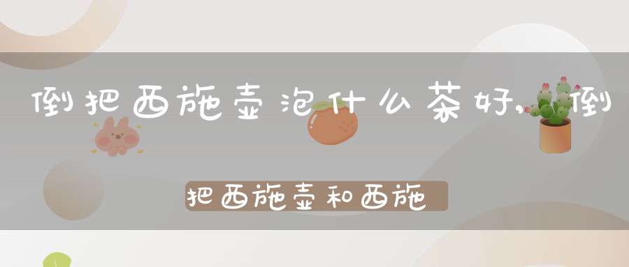 倒把西施壶泡什么茶好,倒把西施壶和西施壶的区别