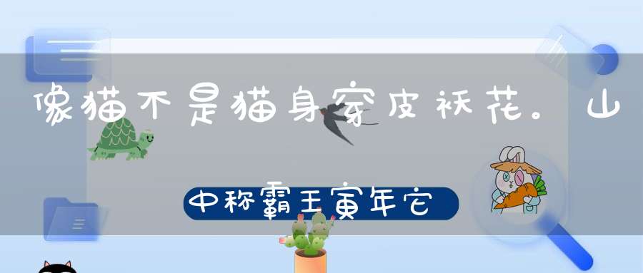像猫不是猫，身穿皮袄花。山中称霸王，寅年它当家（打一动物）