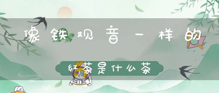 像铁观音一样的红茶是什么茶?