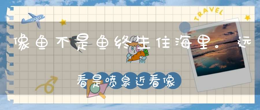 像鱼不是鱼，终生住海里。远看是喷泉，近看像岛屿（打一动物）