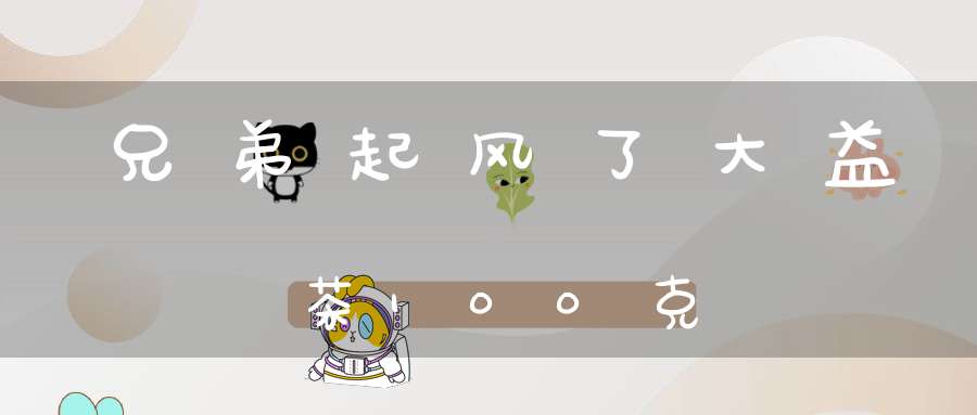 兄弟起风了大益茶100克