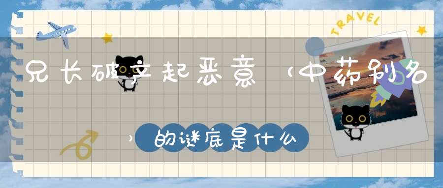 兄长破产起恶意 （中药别名）的谜底是什么?