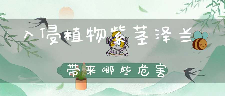 入侵植物紫茎泽兰带来哪些危害？