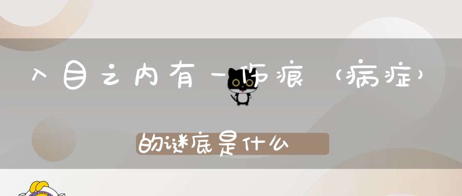 入目之内，有一伤痕 （病症）的谜底是什么?