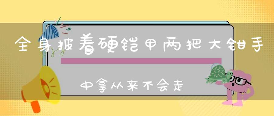 全身披着硬铠甲，两把大钳手中拿，从来不会走直道，一生总是横着爬。 （猜一动物）