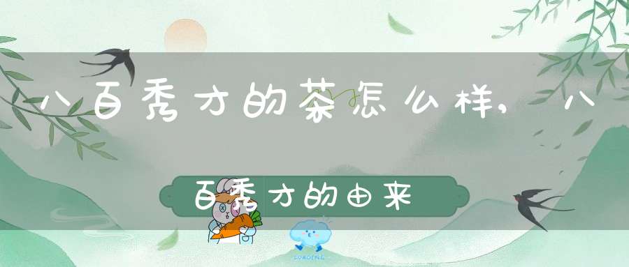 八百秀才的茶怎么样,八百秀才的由来