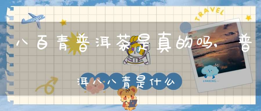 八百青普洱茶是真的吗,普洱八八青是什么意思