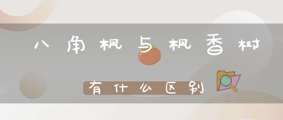八角枫与枫香树有什么区别？