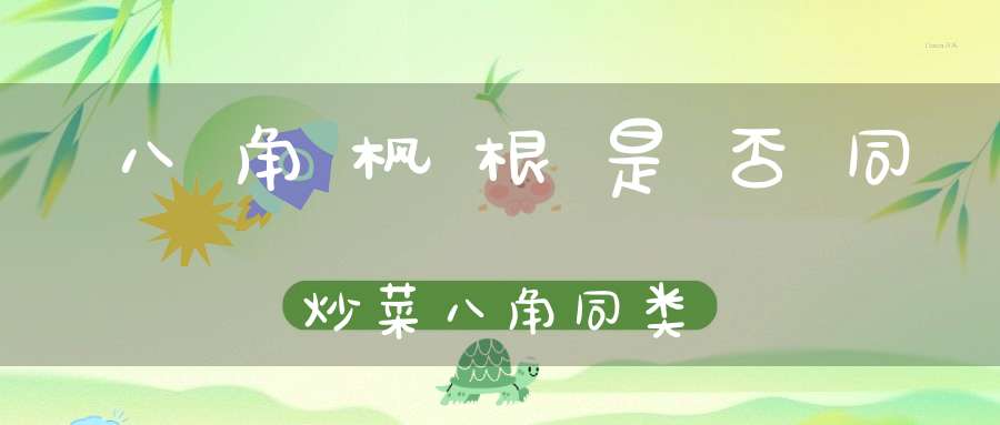 八角枫根是否同炒菜八角同类？