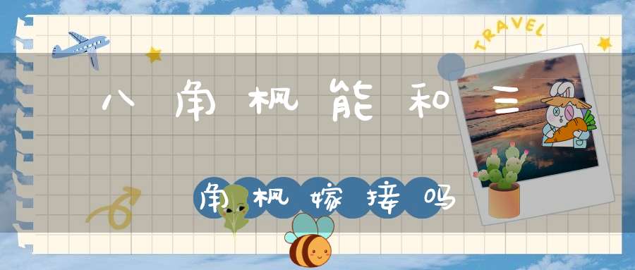 八角枫能和三角枫嫁接吗？