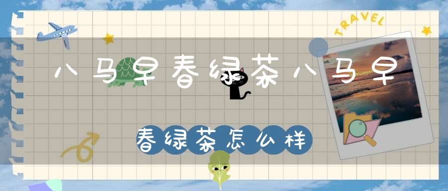 八马早春绿茶八马早春绿茶怎么样