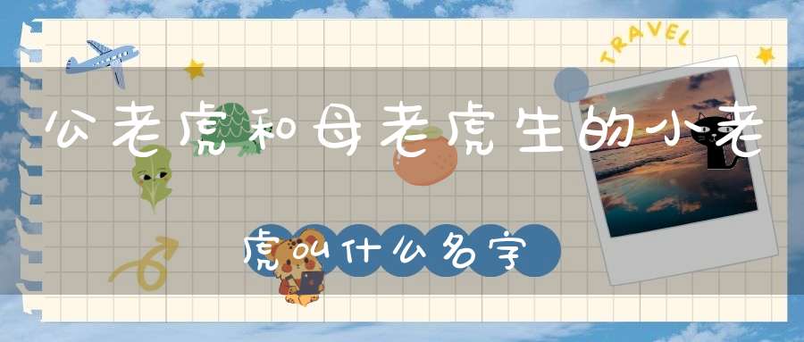 公老虎和母老虎生的小老虎叫什么名字