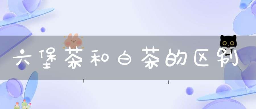 六堡茶和白茶的区别
