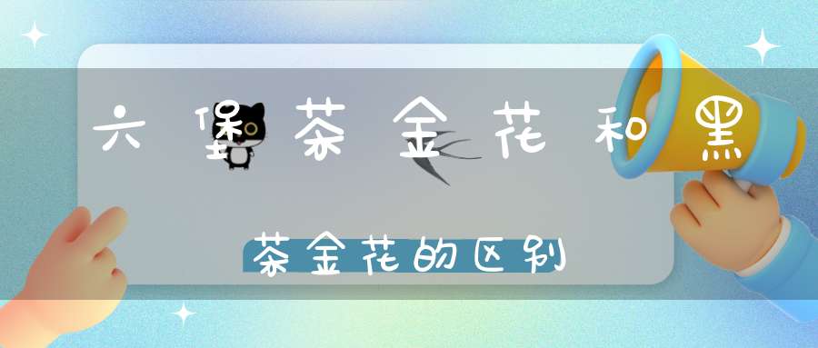 六堡茶金花和黑茶金花的区别