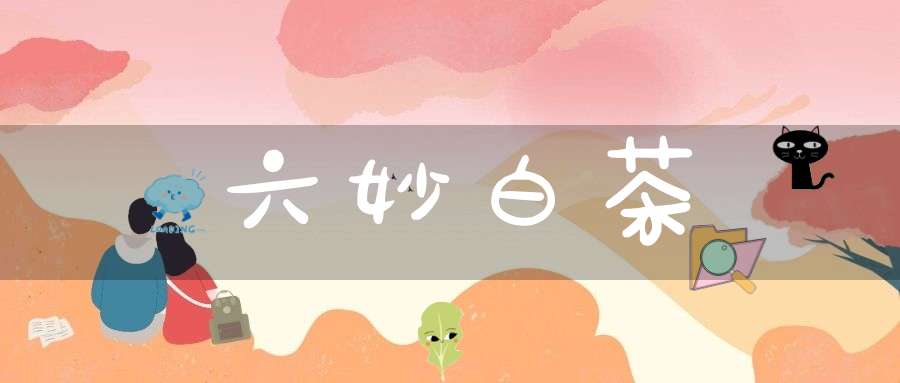 六妙白茶