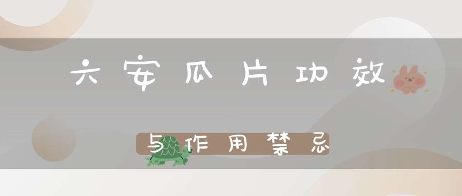 六安瓜片功效与作用禁忌