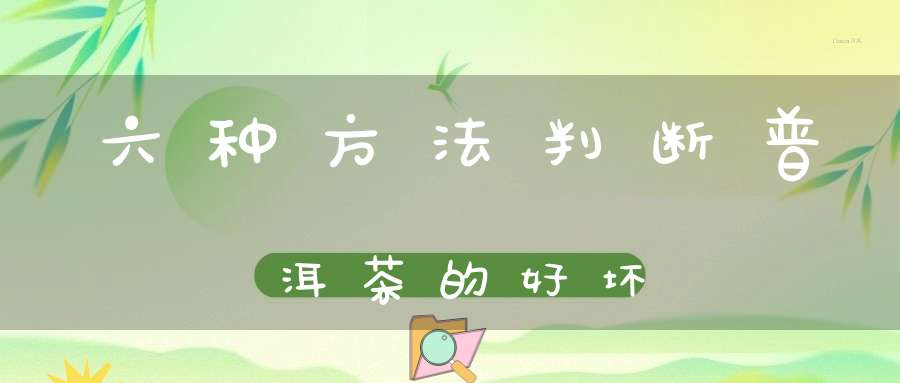 六种方法判断普洱茶的好坏