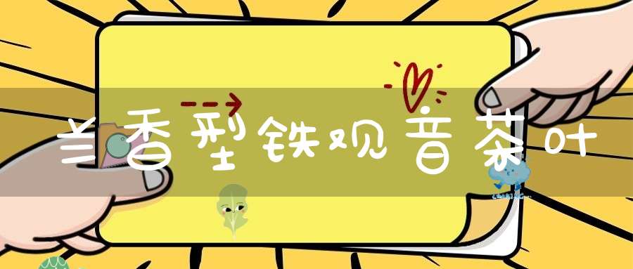 兰香型铁观音茶叶
