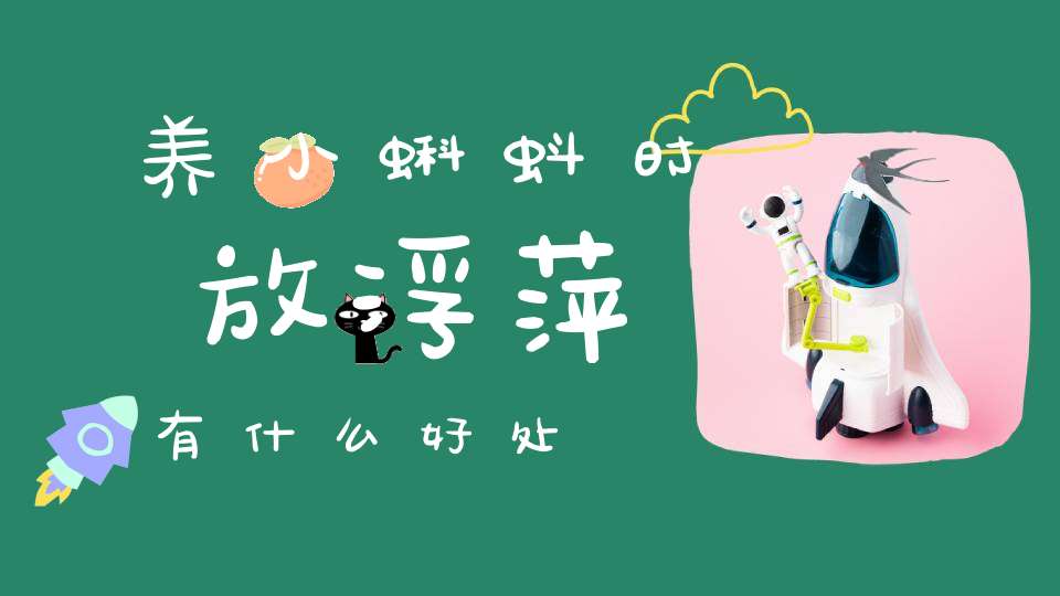 养小蝌蚪时放浮萍有什么好处？