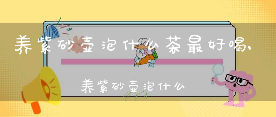 养紫砂壶泡什么茶最好喝,养紫砂壶泡什么茶最好养活