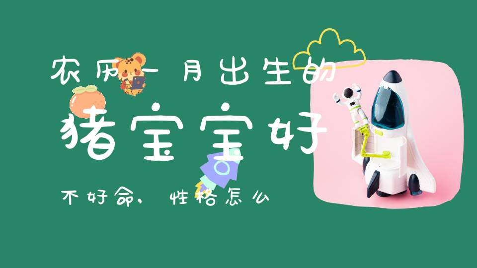 农历一月出生的猪宝宝好不好命,性格怎么样