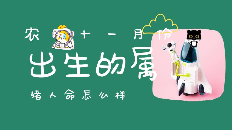 农历十一月份出生的属猪人命怎么样