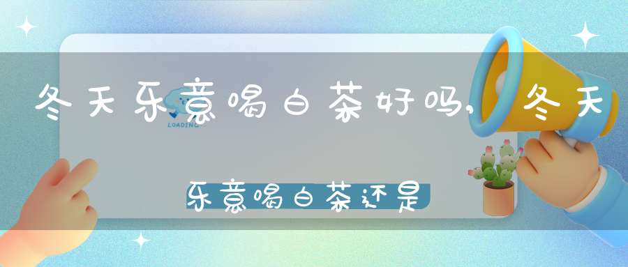 冬天乐意喝白茶好吗,冬天乐意喝白茶还是红茶