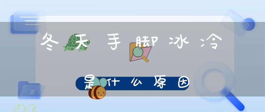 冬天手脚冰冷是什么原因？