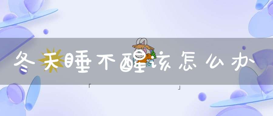 冬天睡不醒该怎么办？