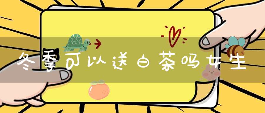 冬季可以送白茶吗女生