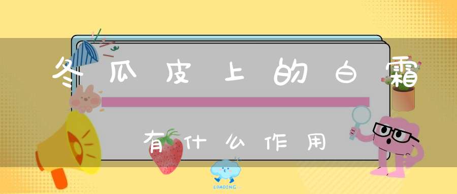 冬瓜皮上的白霜有什么作用