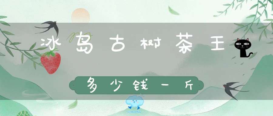 冰岛古树茶王多少钱一斤
