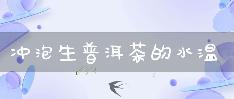 冲泡生普洱茶的水温