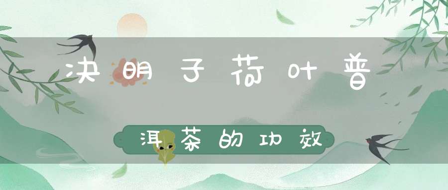 决明子荷叶普洱茶的功效