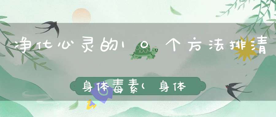 净化心灵的10个方法排清身体毒素(身体毒素怎样排出体外)