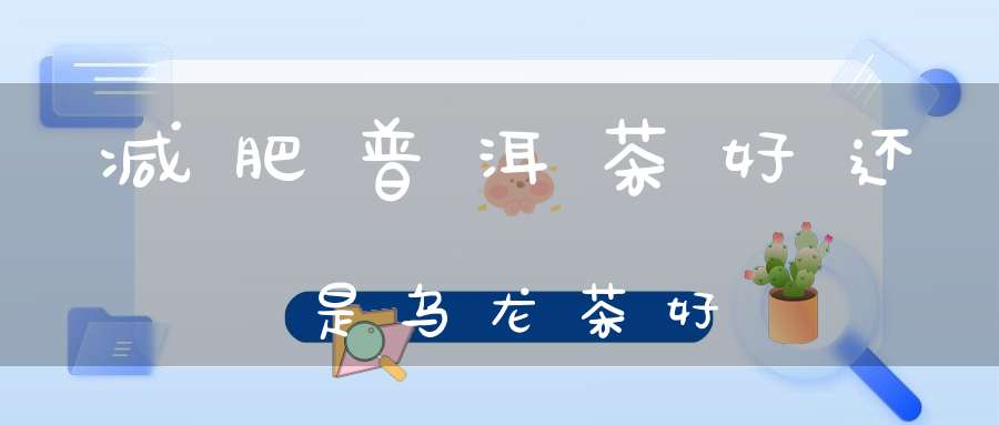 减肥普洱茶好还是乌龙茶好