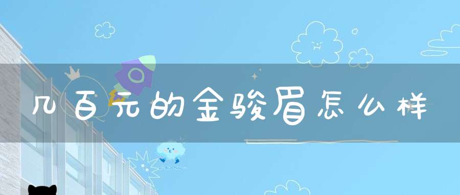 几百元的金骏眉怎么样