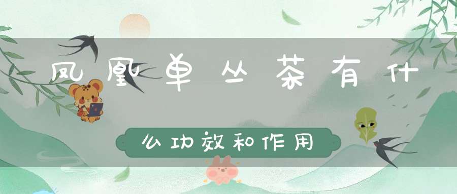 凤凰单丛茶有什么功效和作用