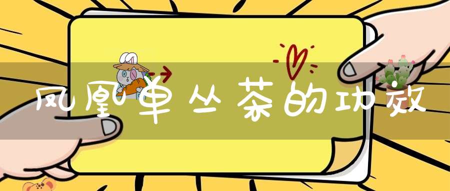 凤凰单丛茶的功效