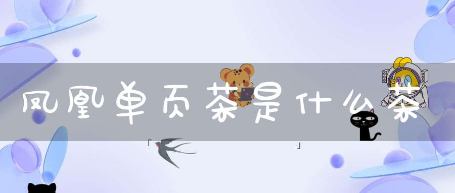 凤凰单页茶是什么茶