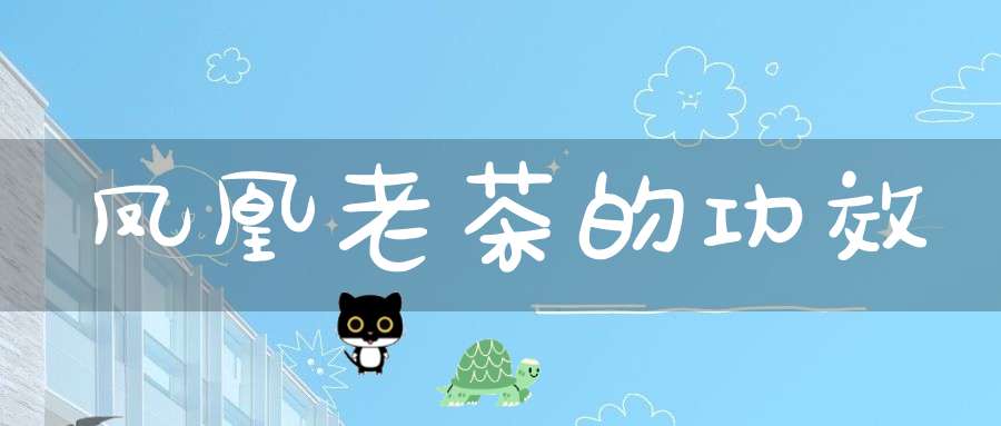 凤凰老茶的功效