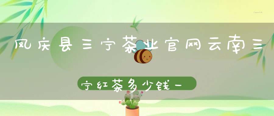 凤庆县三宁茶业官网云南三宁红茶多少钱一斤