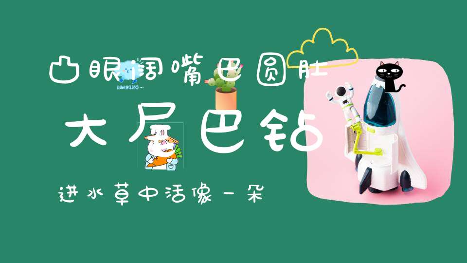 凸眼阔嘴巴，圆肚大尾巴，钻进水草中，活像一朵花。 （猜一动物）