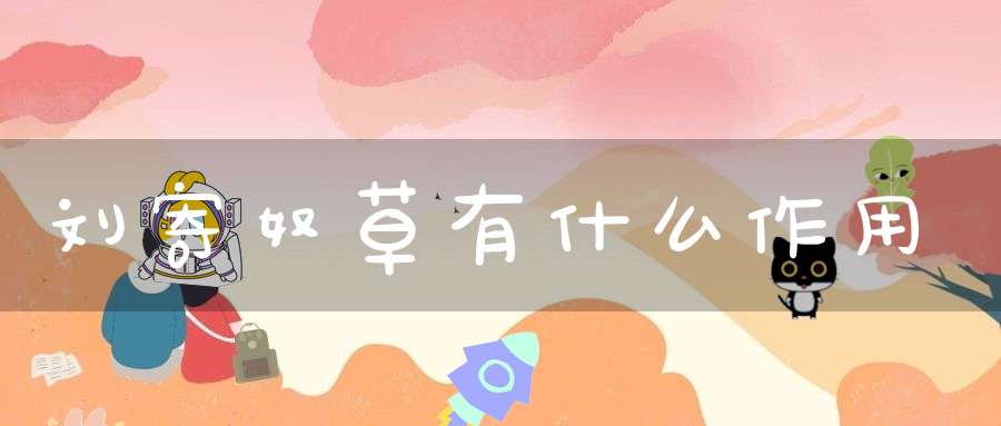 刘寄奴草有什么作用？