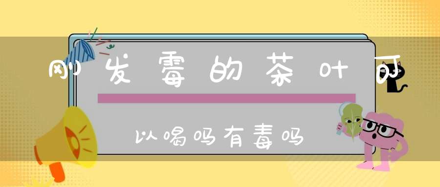 刚发霉的茶叶可以喝吗有毒吗