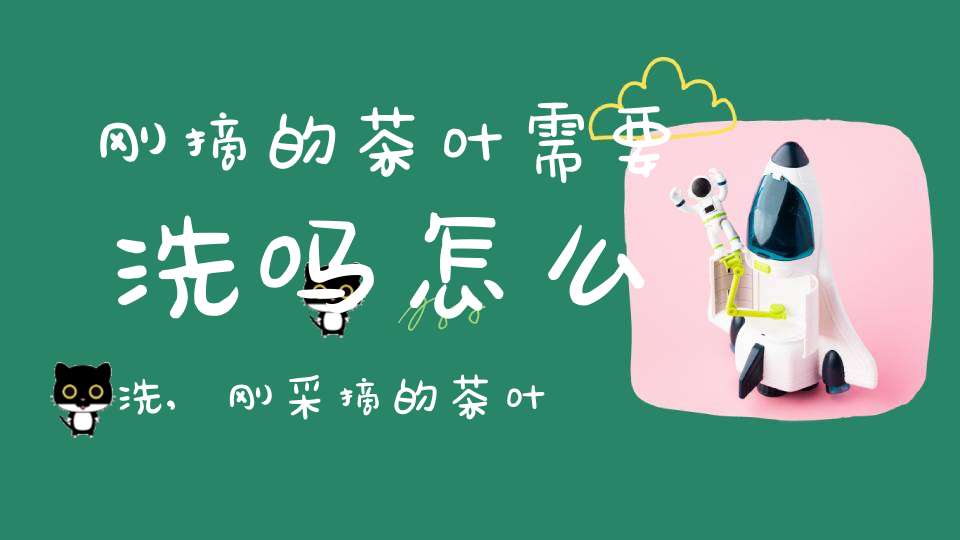 刚摘的茶叶需要洗吗怎么洗,刚采摘的茶叶需要洗吗
