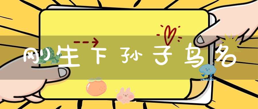 刚生下孙子  鸟名