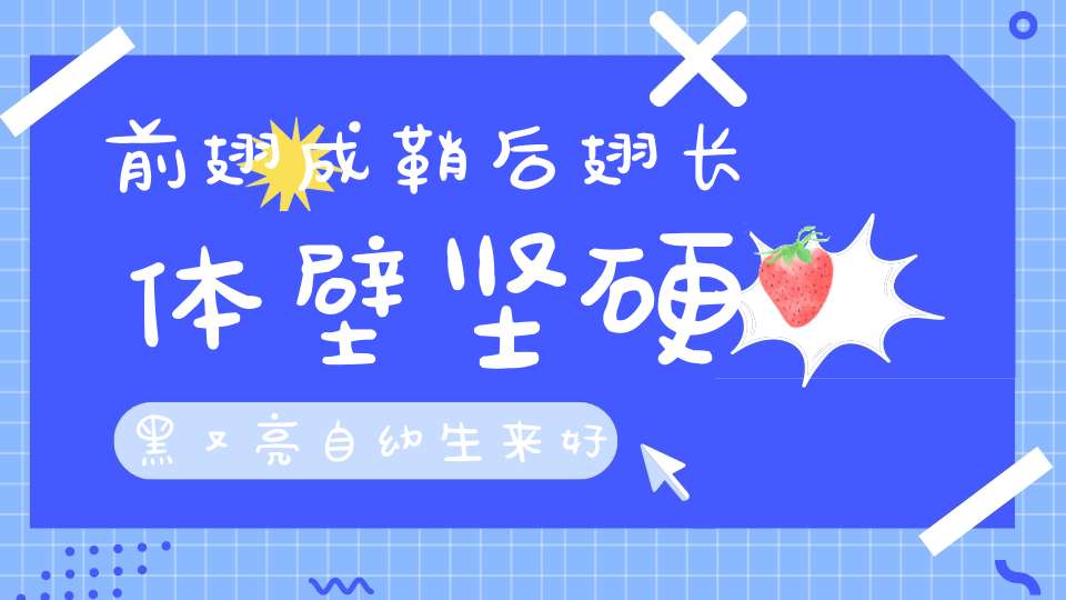 前翅成鞘后翅长，体壁坚硬黑又亮，自幼生来好玩粪，夫妻推球为儿忙。 （猜一动物）