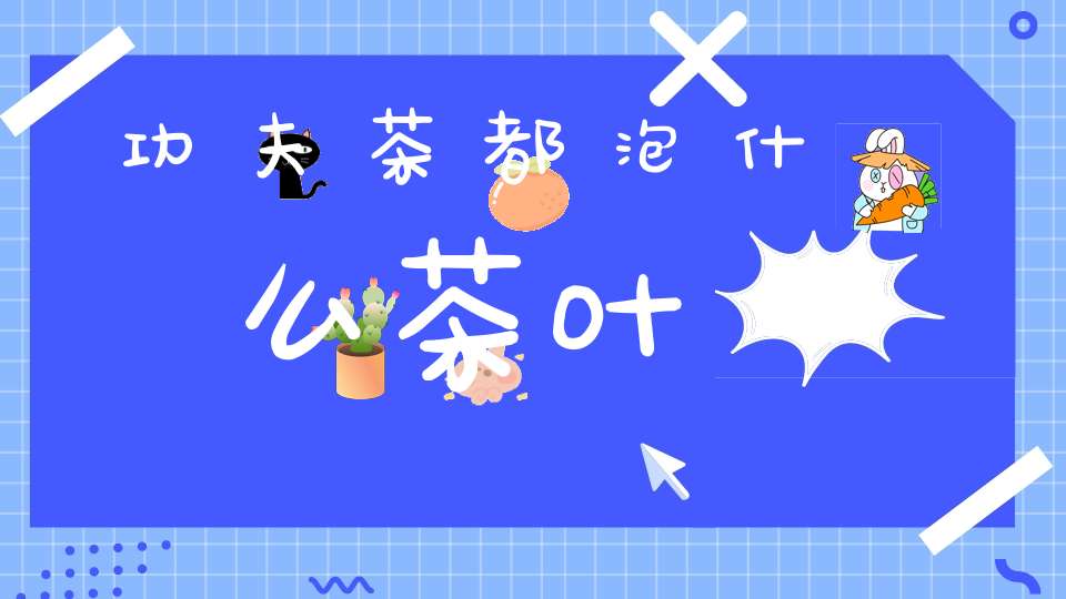 功夫茶都泡什么茶叶