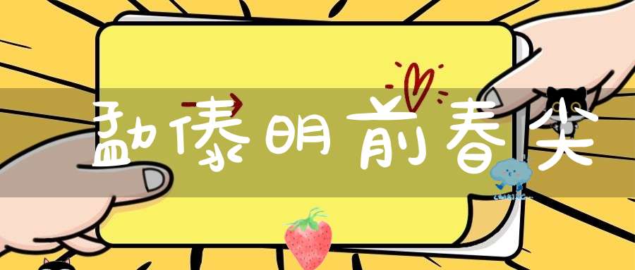 勐傣明前春尖